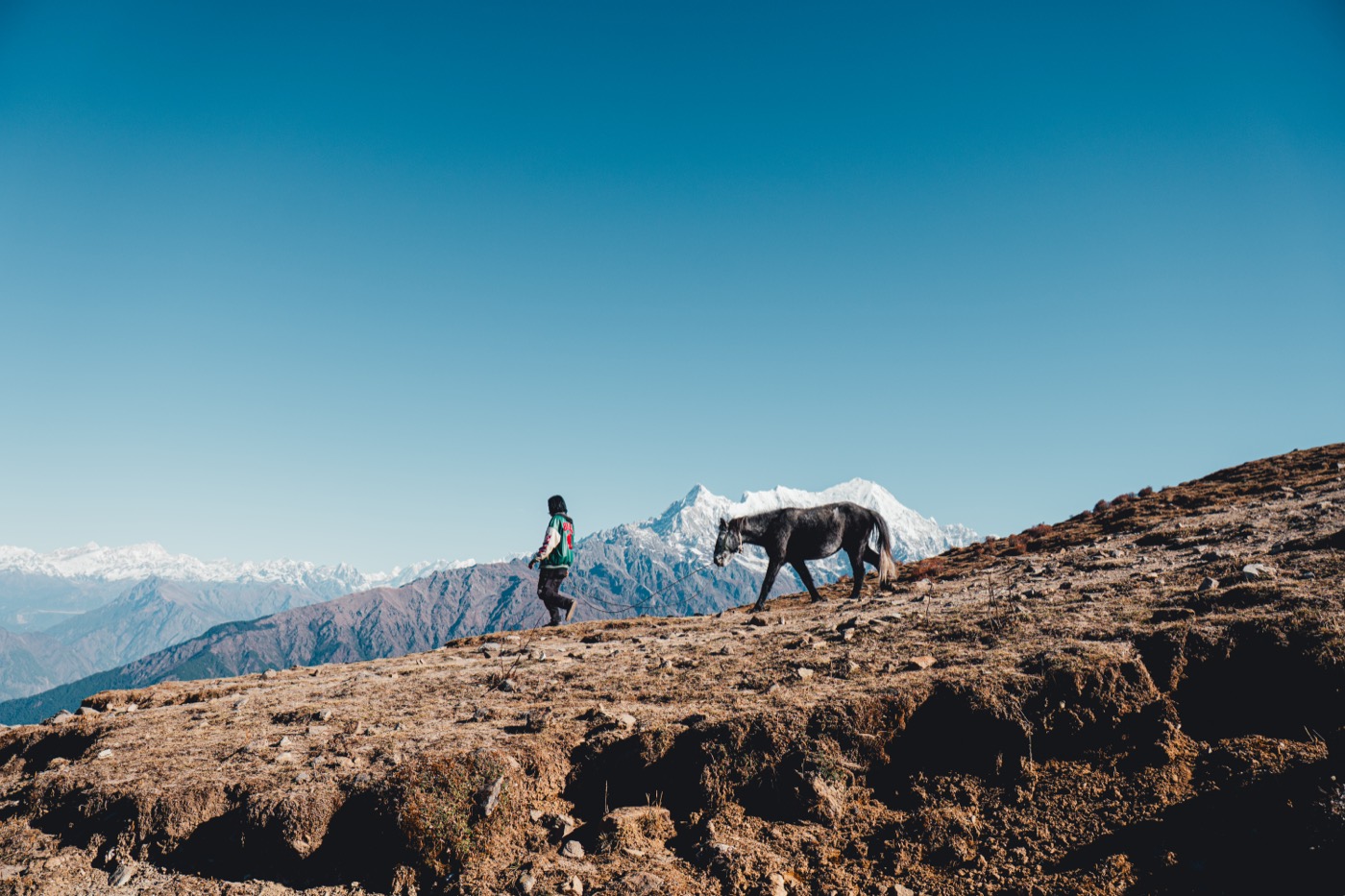 A figure leading a white horse along a ridge, snow peaks beyond, Nepal.